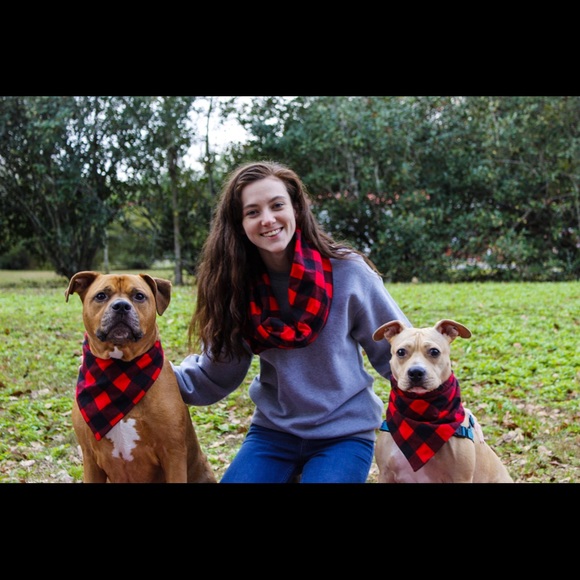 Meet your Posher, Sierra - Picture 3 of 12